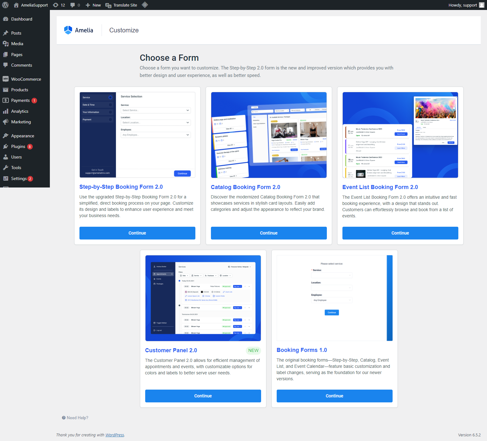 customize-section customize-section
