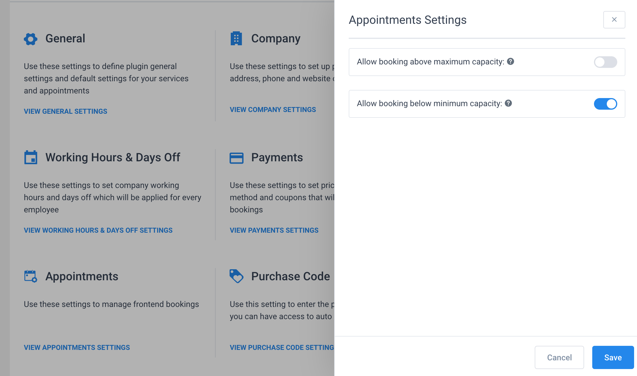 Appointment Settings Amelia WordPress Booking Plugin